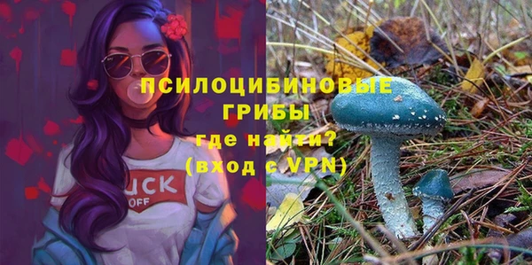 марки lsd Новозыбков