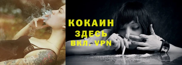 МДПВ Абинск