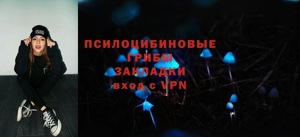 МДПВ Абинск