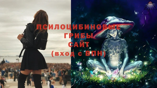спиды Новокубанск